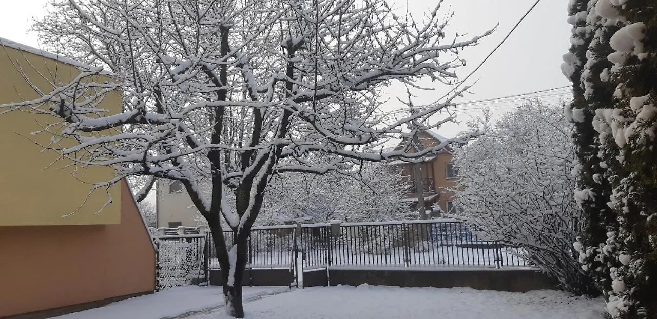 Rozsa Nyaralo Villa Hajduszoboszlo Hungary